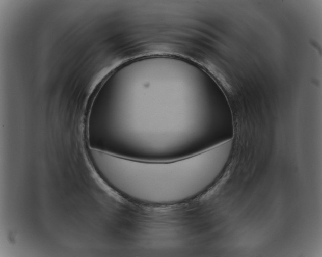 X0000091951134200709061034