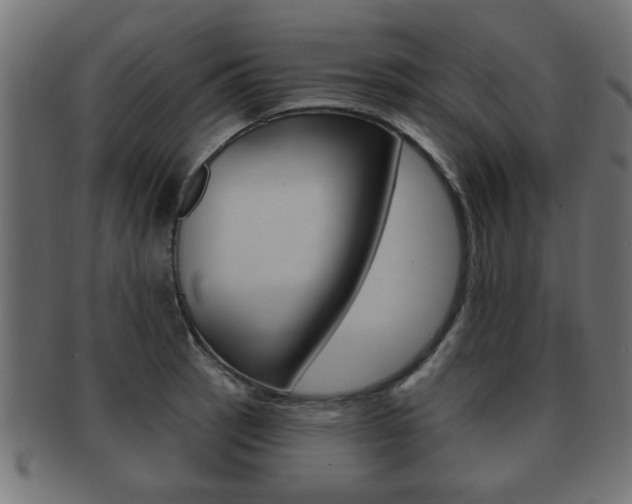 X0000091951137200709061034
