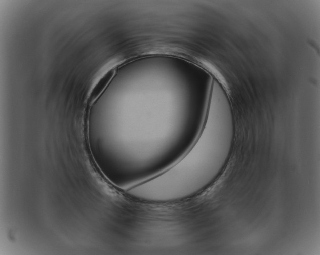 X0000091951138200709061034