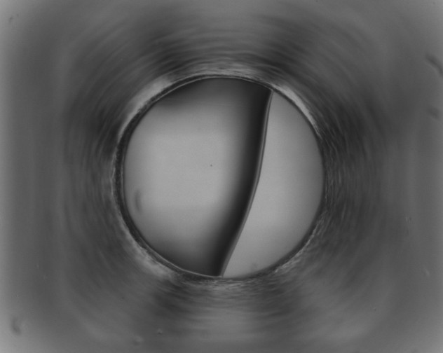 X0000091951139200709061034