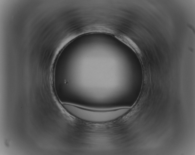 X0000091951144200709061034