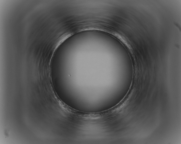 X0000091951145200709061034