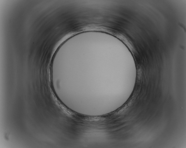 X0000091951150200709061034