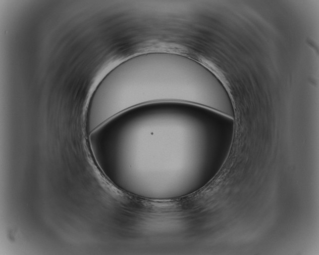 X0000091951152200709061034