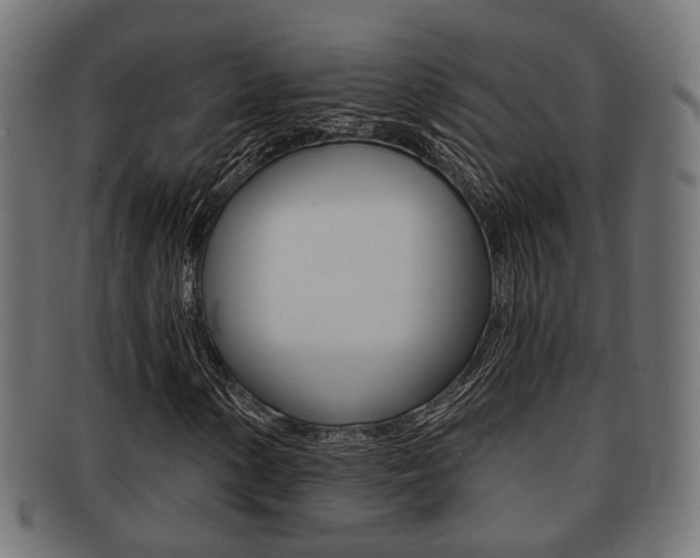 X0000091951154200709061034