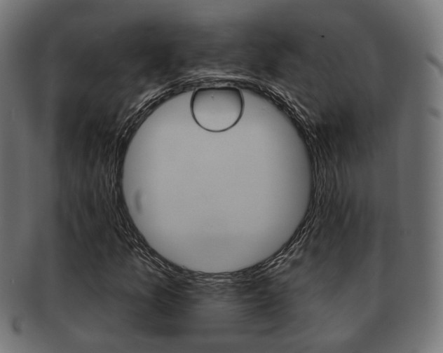 X0000091951157200709061034