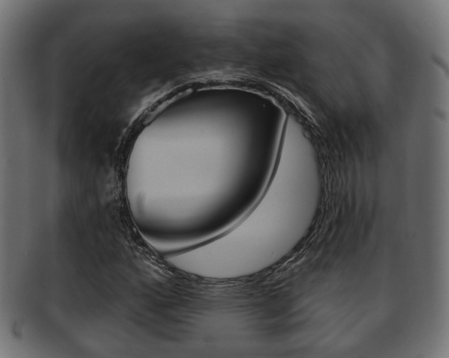 X0000091951160200709061034