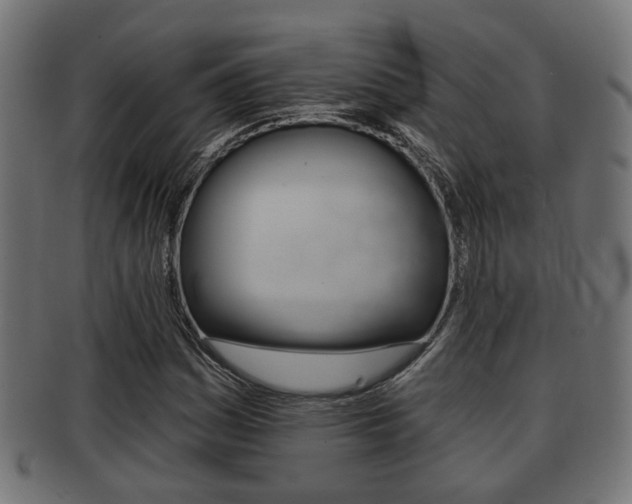 X0000091951161200709061034