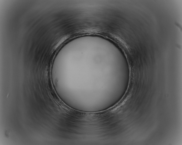 X0000091951162200709061033