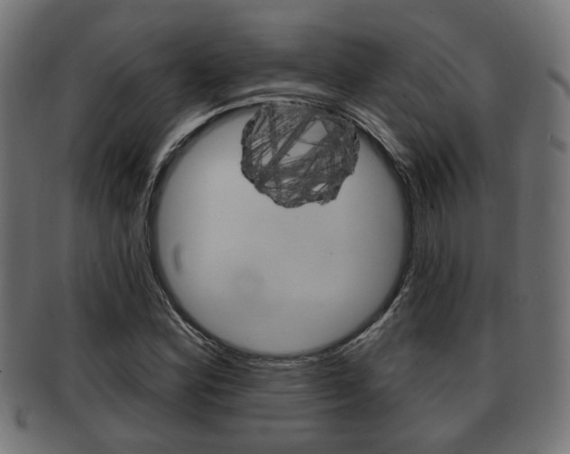 X0000091951164200709061033