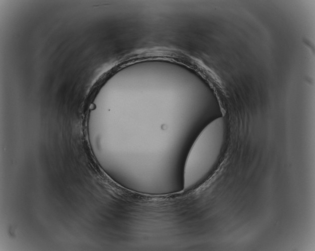 X0000091951166200709061033