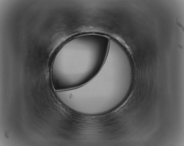 X0000091951167200709061033