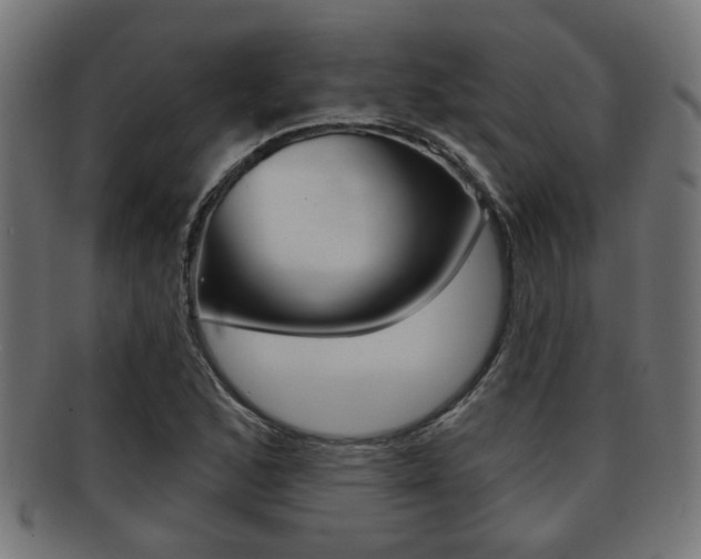 X0000091951168200709061033