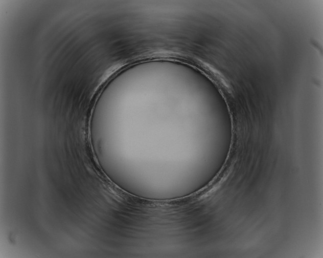 X0000091951170200709061033