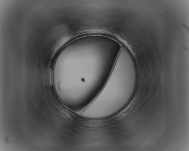 X0000091951171200709061033