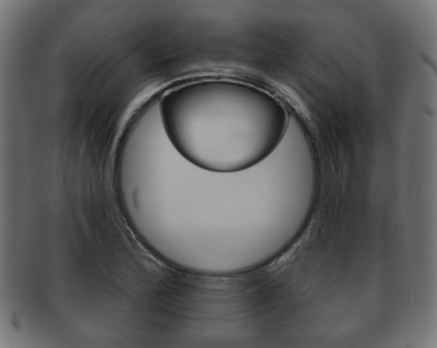 X0000091951172200709061033