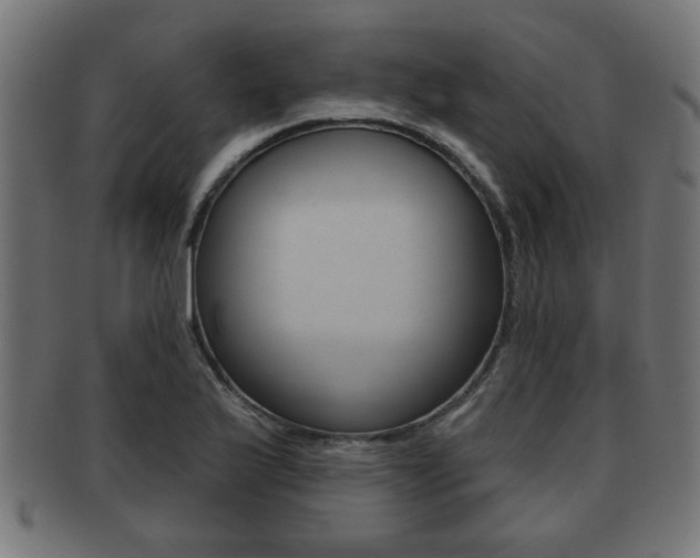 X0000091951175200709061033