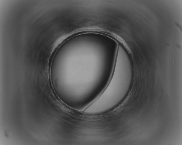 X0000091951176200709061033