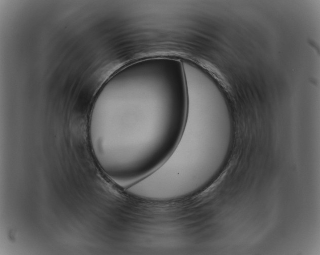 X0000091951177200709061033