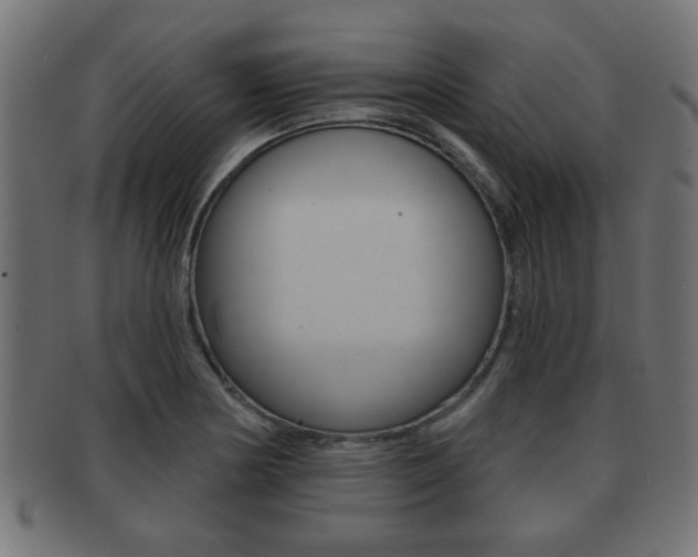 X0000091951178200709061033