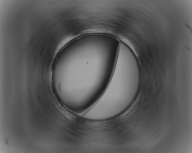X0000091951179200709061033