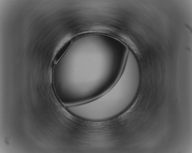 X0000091951180200709061033