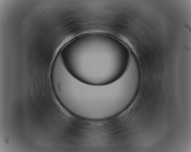 X0000091951181200709061033