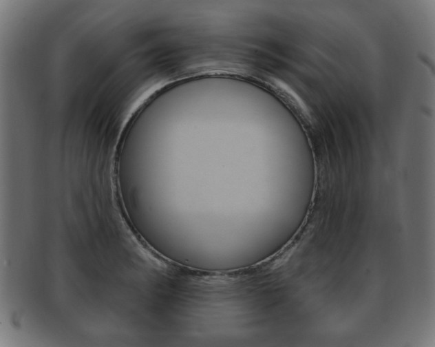 X0000091951182200709061033