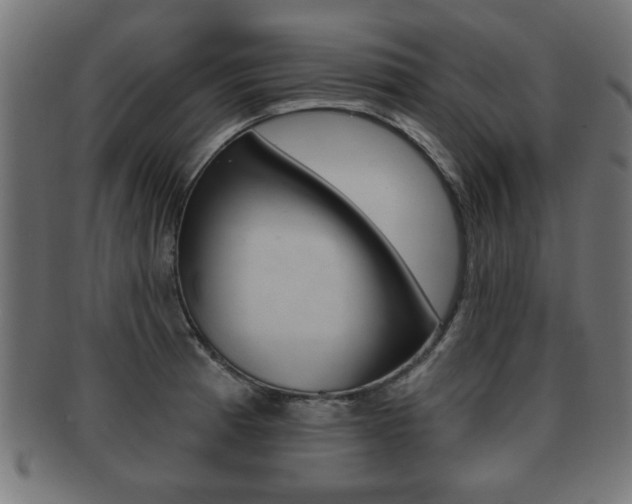 X0000091951185200709061033