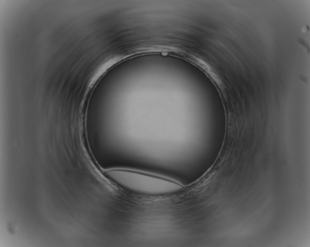 X0000091951187200709061033