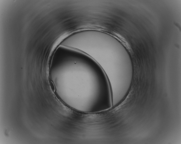 X0000091951188200709061033