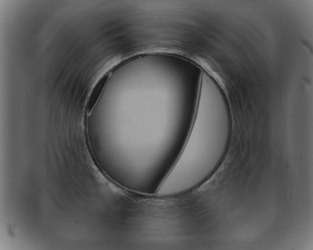 X0000091951189200709061033