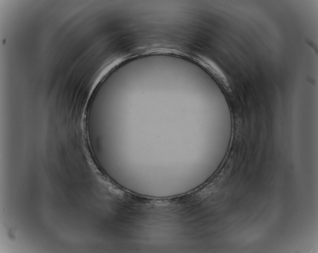 X0000091951190200709061033