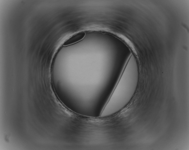 X0000091951191200709061033