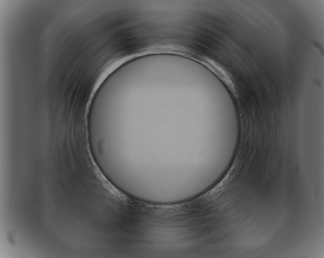 X0000091951192200709061033