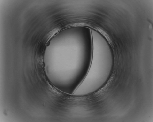 X0000091951193200709061033