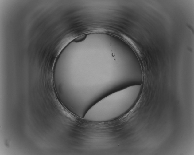 X0000091951194200709061033