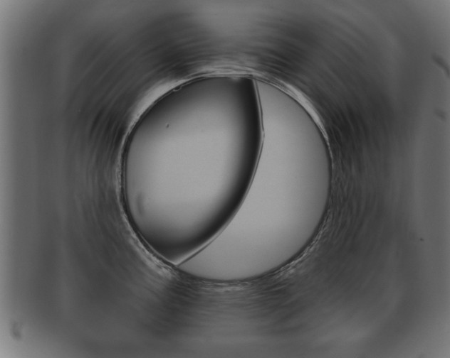 X0000091951195200709061033