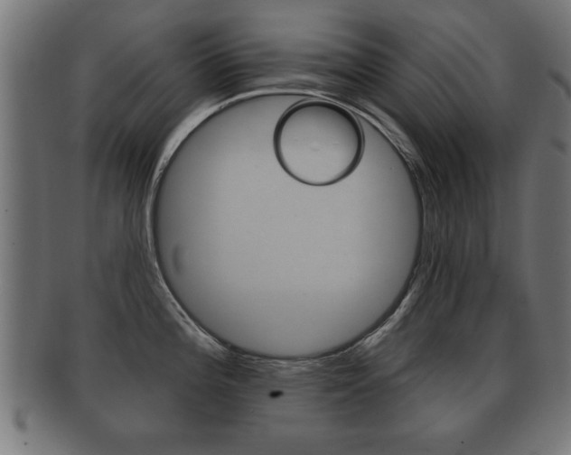 X0000091951196200709061033