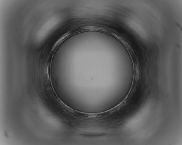 X0000091951198200709061033