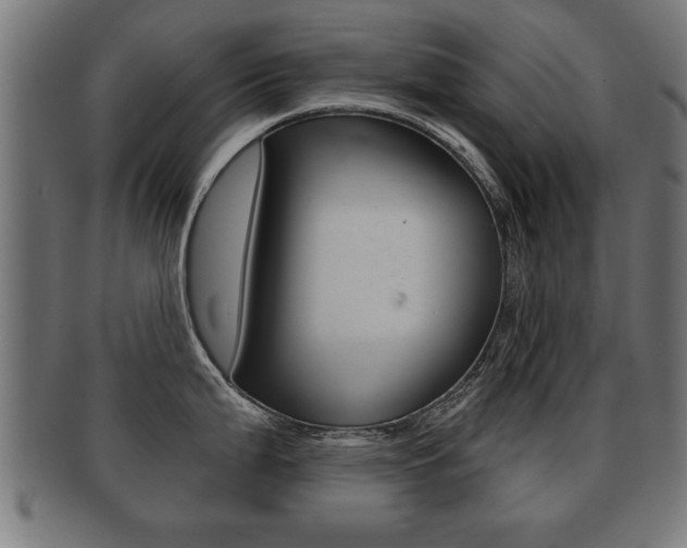 X0000091951199200709061033