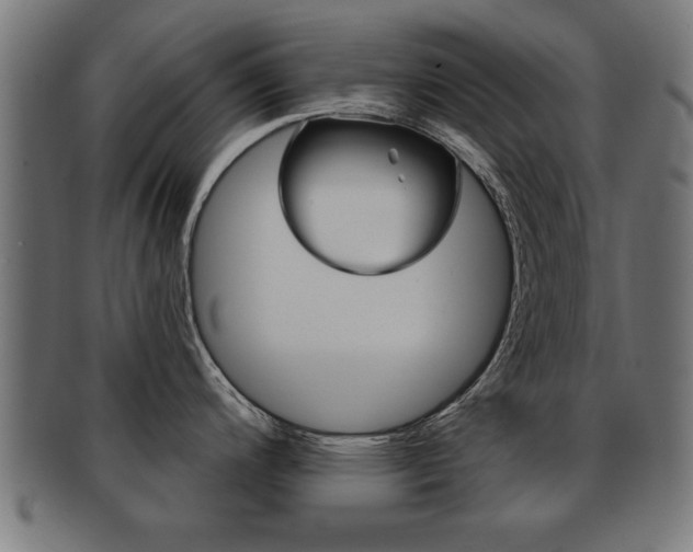 X0000091951200200709061033