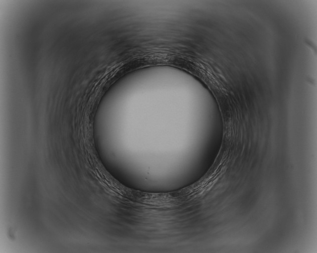 X0000091951201200709061032