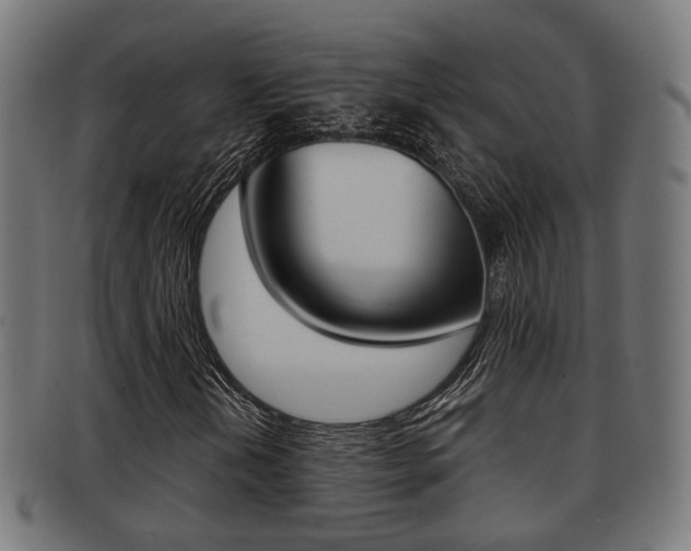 X0000091951202200709061032