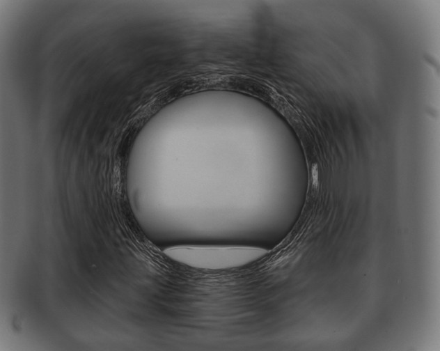 X0000091951203200709061032
