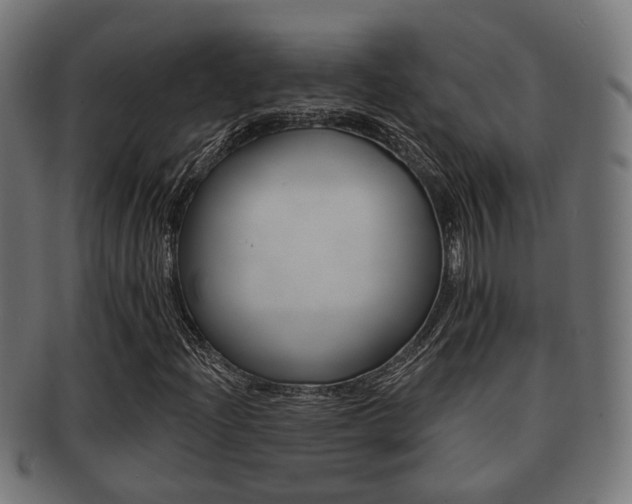 X0000091951204200709061032