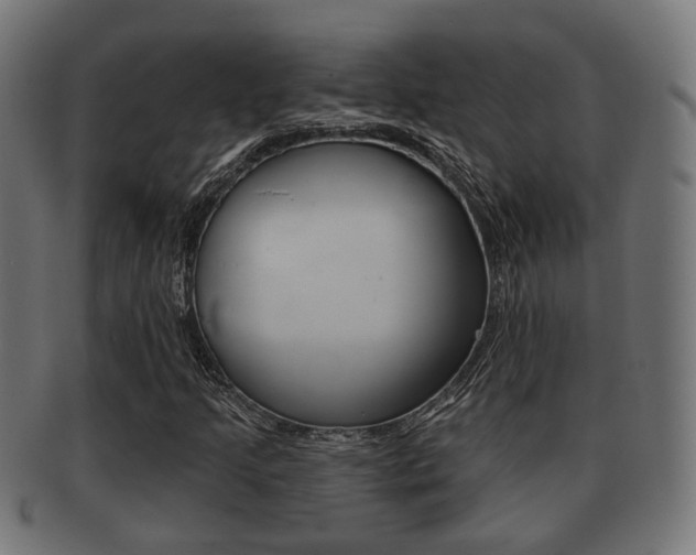 X0000091951205200709061032
