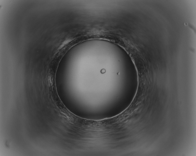 X0000091951206200709061032