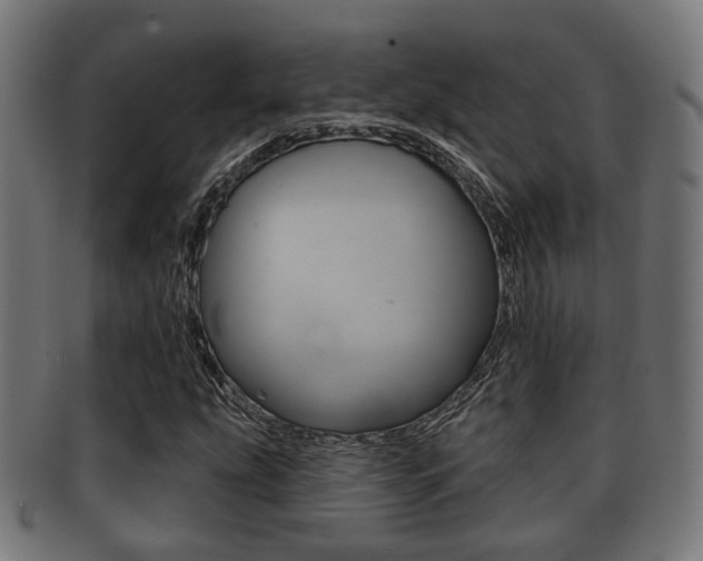 X0000091951207200709061032