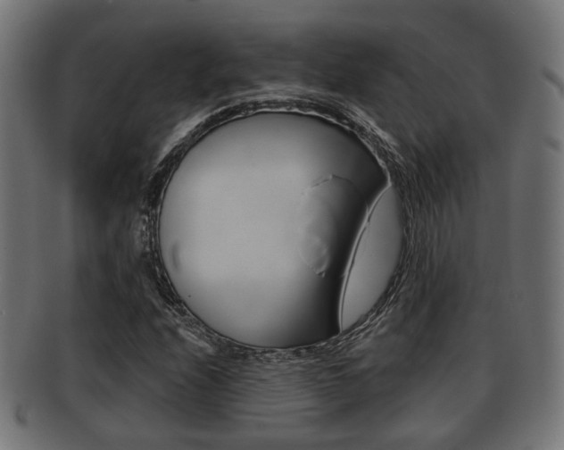 X0000091951208200709061032